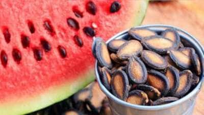 தர்பூசணி விதைகளில் ஒளிந்துள்ளன ஏகப்பட்ட நன்மைகள்: நீரிழிவு, நினைவாற்றல், வளர்சிதை மாற்றம்.. இன்னும் பல