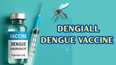 DengiAll: டெங்கு நோயை ஒழித்துக் கட்ட... டெங்கிஆல் தடுப்பூசியை தயாரிக்கிறது இந்தியா