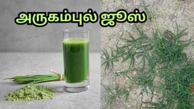 வெயிட் லாஸ் முதல் டீடாக்ஸ் வரை... வெறும் வயிற்றில் அருகம்புல் ஜூஸ் குடித்தாலே போதும்