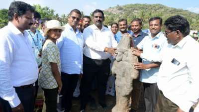 கிருஷ்ணகிரியில் கண்டெடுக்கப்பட்ட 1200 ஆண்டு கால பழமையான பொக்கிஷம்