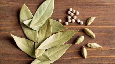 சுகர் லெவலை குறைக்கும் பிரியாணி இலை டீ: இன்னும் எக்கச்சக்க நன்மைகள் இருக்கு