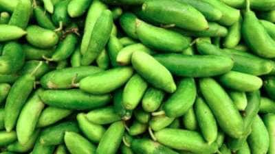 உடல் எடையும் சரி, சுகர் சரி..கோவைக்காய் உடலில் சத்து தரும் சூப்பர் ஹீரோ! டயடுக்கு பக்கா பொருத்தம்!