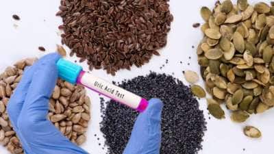யூரிக் அமிலம், மூட்டு வலி... இயற்கையான வழியில் குறைக்க உதவும் சின்ன சின்ன விதைகள்