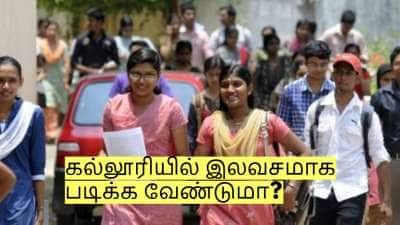 முதல்பட்டதாரியா நீங்கள்? கல்லூரியில் 3 ஆண்டுகள் இலவசமாக படிக்கலாம்! முழு விவரம்!