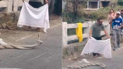 நடுரோட்டில் பின்னிப்பிணைந்து.... கேமராவில் கைதான காதல்: இணையத்தை பற்ற வைத்த வைரல் வீடியோ