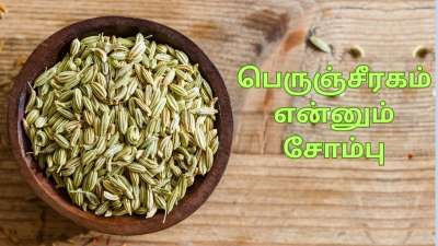 நோயற்ற வாழ்வுக்கு... சாப்பிட்ட பின் ஒரு ஸ்பூன் சோம்பு கட்டாயம் சாப்பிடுங்க... சில முக்கிய காரணங்கள்