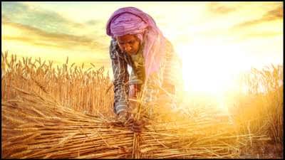 விவசாயிகளுக்கு ஜாக்பாட்.. குறைந்தபட்ச ஆதரவு விலை உயர்வு! குறைந்த வட்டி கடன் தொடரும்