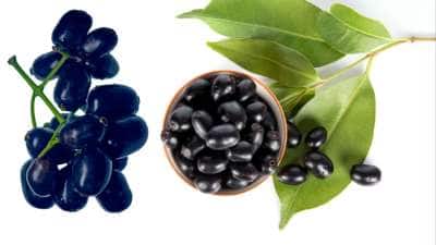 இதய ஆரோக்கியம் முதல் இளமையை காப்பது வரை... வியக்க வைக்கும் நாவல் பழம்