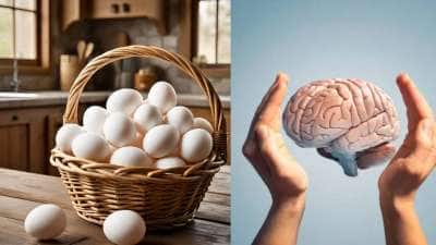ஒரு நாளைக்கு ஒரு முட்டை சாப்பிடுவதால் ஏற்படும் 7 நன்மைகள்!