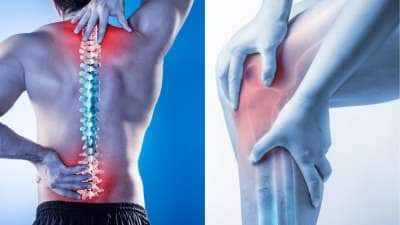 மூட்டு வலிக்கு குட்பை சொல்ல... எலும்புகளுக்கு உயிர் கொடுக்கும் இந்த உணவுகளை டயட்டில் சேருங்க