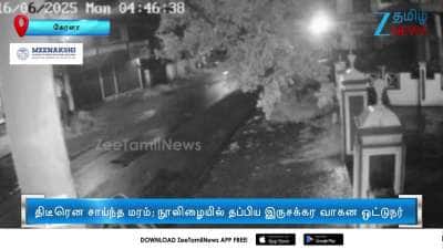 Man escapes in a whisker as tree falls on street