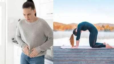 மாதவிடாய் வயிற்று வலியை குறைக்கும் 7 யோகாசனங்கள்! ஈசியா செய்யலாம்..சிரமம் தெரியாது