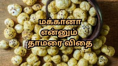 வெறும் வயிற்றில் 4 - 5 தாமரை விதை போதும்... உடலில் ஏற்படும் வியக்கத்தக்க மாற்றங்கள்