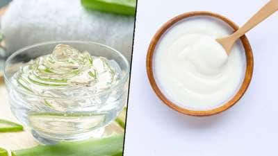 பட்டுப் போன்ற கூந்தல் வேண்டுமா? தயிர் மற்றும் கற்றாழை பயன்படுத்துங்க