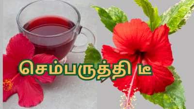 புற்றுநோய் முதல் இதய நோய் வரை... மருத்துவ குணம் நிறைந்த செம்பருத்தி டீ பலன் கொடுக்கும்