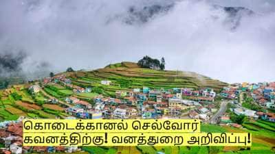 கொடைக்கானல் செல்வோர் கவனத்திற்கு - வனத்துறை முக்கிய அறிவிப்பு!