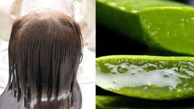 அடர்த்தியான கூந்தலுக்கு கற்றாழையை இப்படி பயன்படுத்தி பாருங்க