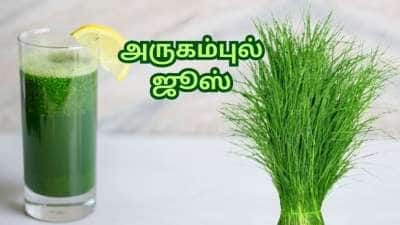 டீடாக்ஸ் முதல் வெயிட் லாஸ் வரை... பல நோய்களுக்கு அருமருந்தாகும் அருகம்புல் ஜூஸ்