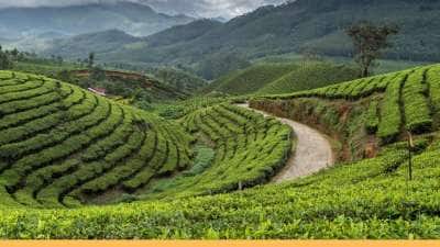 தேக்கடி மட்டுமல்ல... அதைச் சுற்றியுள்ள இந்த இடங்களும் பூவுலகின் சொர்க்கம் தான்