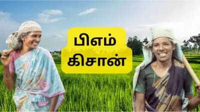 PM Kisan 20வது தவணை இந்த நாளில் வருகிறது: ஆனால், இதை செய்யவில்லை என்றால் பணம் வராது