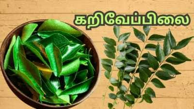 கொலஸ்ட்ரால் முதல் வெயிட் லாஸ் வரை... தினம் வெறும் வயிற்றில் 7 - 8 கறிவேப்பிலை போதும்