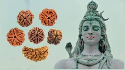 பதினாறும் பெற்று பெரு வாழ்வு பெற... ராசிக்கு ஏற்ற ருத்ராட்ச வகைகள் குறித்த முழு விபரம்