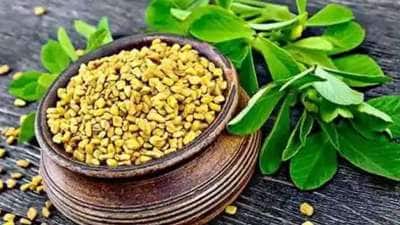 வழுக்கைத் தலையில் மீண்டும் முடி வளரனுமா இந்த சிறிய விதை ஒன்று போதும்