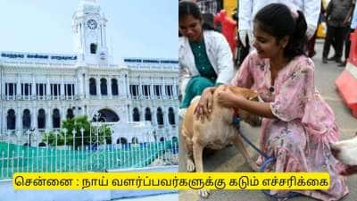 சென்னையில் நாய் வளர்ப்பவர்களுக்கு மாநகராட்சி வெளியிட்ட கடும் எச்சரிக்கை