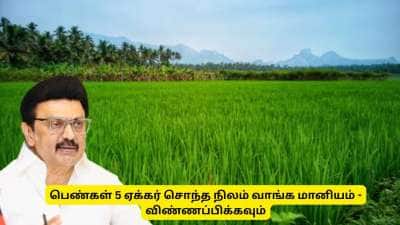 5 ஏக்கர் நிலம் வாங்க பெண்கள் விண்ணப்பிக்கலாம்! மானியம் கொடுக்கும் தமிழ்நாடு அரசு
