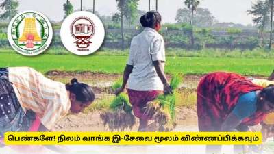 2.5 ஏக்கர் தோட்டம் வாங்க பெண்கள் இ-சேவை மையம் மூலம் விண்ணப்பிக்கலாம்!