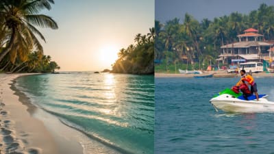 டால்பின்களை பார்க்கணுமா...? அப்போ இந்தியாவின் இந்த 7 கடற்கரைகளை நோட் பண்ணுங்க!