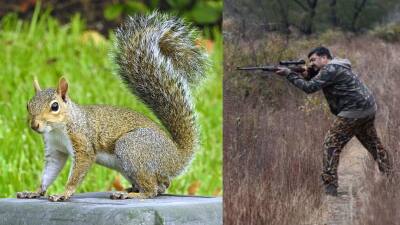 அணில் என நினைத்து... 17 வயது மாணவன் சுட்டுக்கொலை - வேட்டையால் நடந்த விபரீதம்