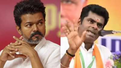 விஜய்யை ஓரிரு நாள் வேண்டுமானால் கைது செய்யலாம் - அண்ணாமலை!