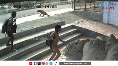 2 People suffer injuries as dog come in front of their 2 wheeler: Shocking CCTV Footage