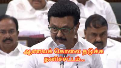 ஆணவக் கொலையை தடுக்க தனிச்சட்டம்... ஆணையத்தை அறிவித்தார் முதல்வர் ஸ்டாலின்