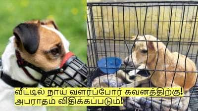 வீட்டில் நாய் வளர்ப்போர் கவனத்திற்கு! தமிழக அரசின் முக்கிய அறிவிப்பு! அபராதம் விதிக்கப்படும்!