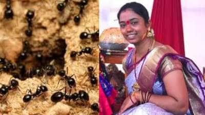 எறும்பால் உயிரிழந்த பெண்.. வித்தியாசமான நோயால் தவிப்பு... இதுபற்றி தெரியுமா?