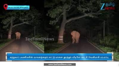Wild Elephant Chases Tourists Vehicle: Video goes Viral