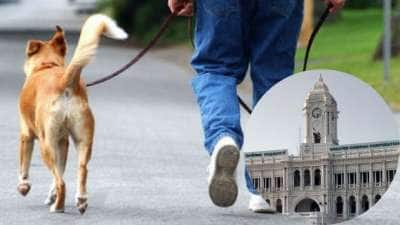 செல்லப்பிராணி வளர்ப்பவர்களுக்கு குட் நியூஸ்! சென்னை மாநகராட்சி முக்கிய அறிவிப்பு!