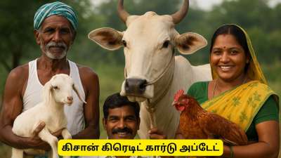 கிசான் அட்டை பெறுவது எப்படி? ஆடு, மாடு, கோழி வளர்ப்பவர்களுக்கு முக்கிய அறிவிப்பு