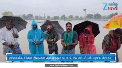 Nagapattinam Heavy Rain creates havoc in agricultural fields