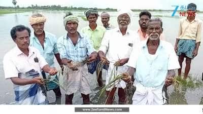 Farmers in sorrow as 300 acres of agricultural land get destroyed due to rain in seerkazhi