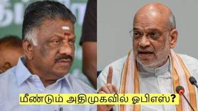 ஓபிஎஸ் - அமித் ஷா டெல்லியில் சந்திப்பு! மீண்டும் அதிமுகவில் இணையவுள்ளார்? 