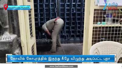 Lady Police Officer treats injured Pigeon: Praised for her action