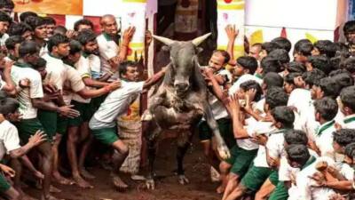 2026-ன் முதல் ஜல்லிக்கட்டு... தச்சங்குறிச்சியில் தொடங்கியதும் கடும் சலசலப்பு - என்ன காரணம்? 