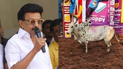 ஜல்லிக்கட்டு வீரர்களுக்கு அரசு வேலை... அலங்காநல்லூரில் முதல்வர் மெகா அறிவிப்பு