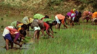 உழவர் பாதுகாப்பு அட்டை : பெண்கள் விண்ணப்பிப்பது எப்படி? என்னென்ன நன்மைகள் கிடைக்கும்?