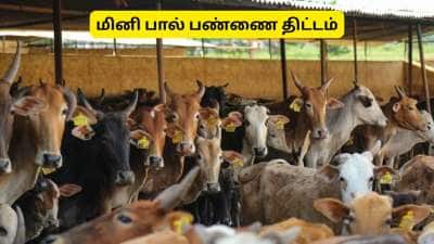 தமிழ்நாட்டில் மினி பால் பண்ணை அமைக்க விண்ணப்பிப்பது எப்படி?