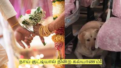 நாய் குட்டியால் நின்ற கல்யாணம்! அதிர்ச்சியில் மணமகன் - வினோத சம்பவம்!