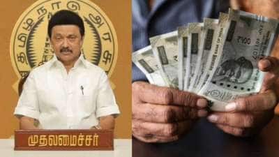 ஒரு குடும்பத்துக்கு ரூ. 8000! கலைஞர் மகளிர் உரிமைத்தொகை போல் முதலமைச்சரின் அடுத்த சர்ப்பிரைஸ்